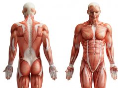 PRISH – Cardinal Signs of Inflammation