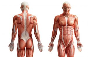 PRISH – Cardinal Signs of Inflammation